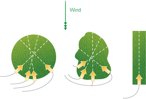 Figure 2 Consider all shapes of landing sites