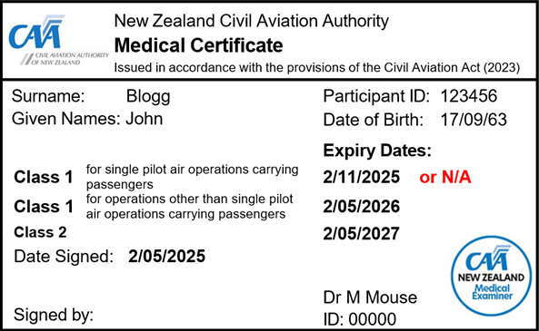 Medical certificate example