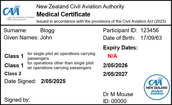 Medical certificate example