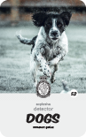 dog card : Cody