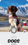 dog card : Baz