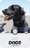 dog card : Etta