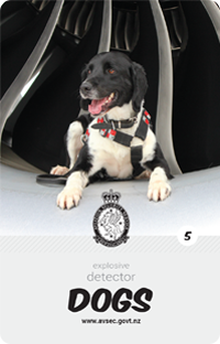 Collectable dog card - Nitro