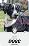 dog card : Conor