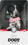 dog card : Bex