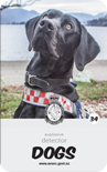 dog card : Toby