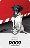 dog card : Ziva