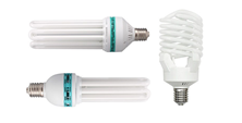 Energy efficient light bulbs