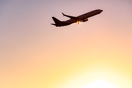 A Boeing 737 MAX takes to the skies.