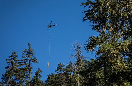 Helicopter above bush lifting log