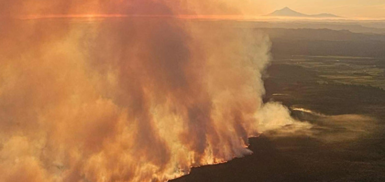 wildfire tile